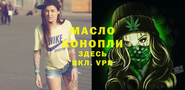 мдпв Верхний Тагил
