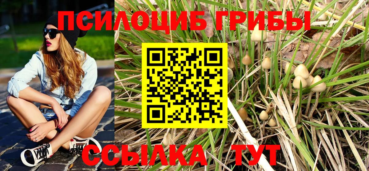 Галлюциногенные грибы ЛСД  купить   Всеволожск 