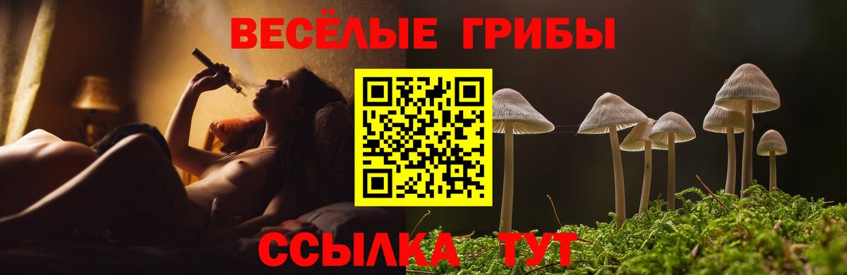 Галлюциногенные грибы Psilocybe Всеволожск